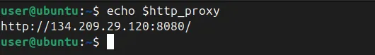 echo 명령을 사용하여 새로 설정된 프록시를 확인합니다.