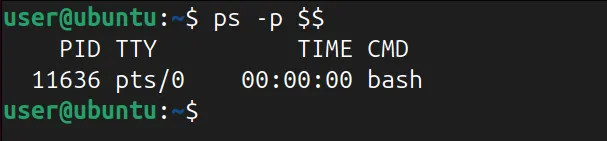 Mostrar información del proceso de shell actual usando el comando ps