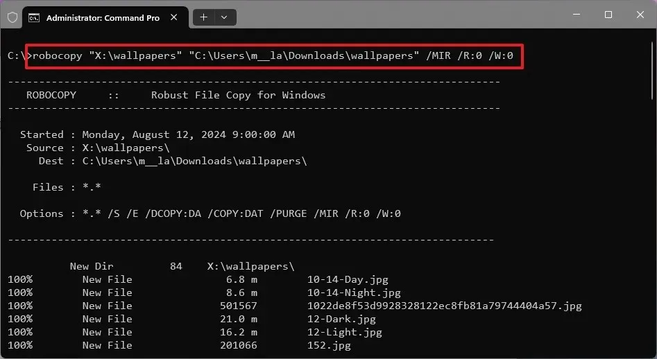 Comando de recuperación de archivos de Robocopy