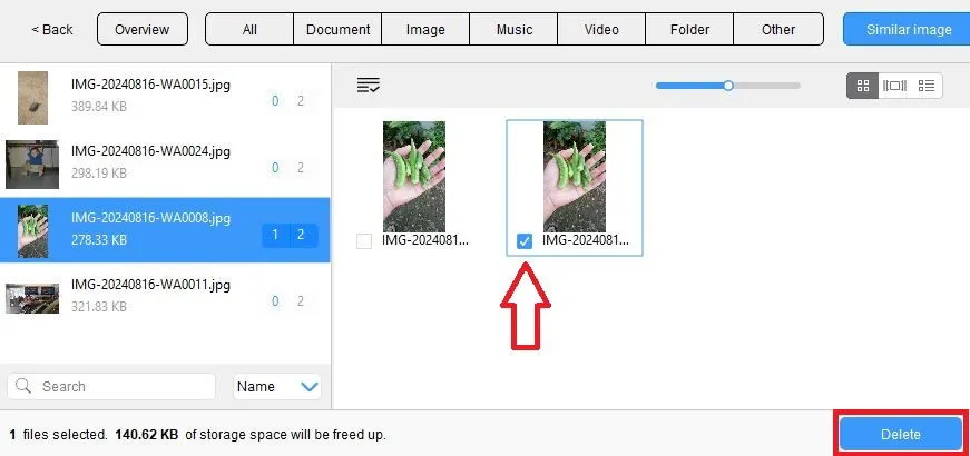 Pestaña de imágenes similares en Cisdem Software, donde puede seleccionar la imagen duplicada encontrada por la herramienta y hacer clic en el botón Eliminar para eliminar la imagen duplicada.