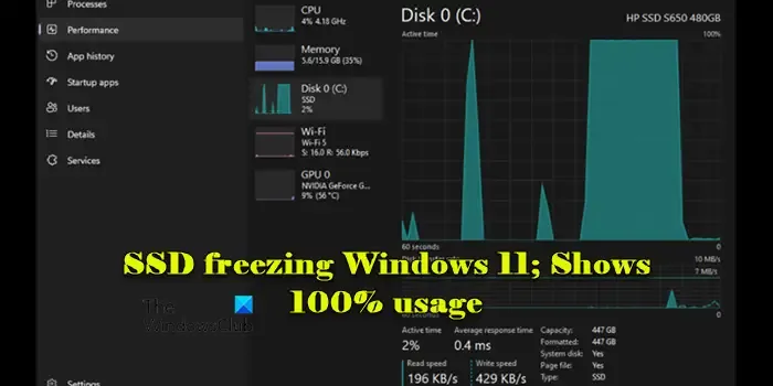SSD che si blocca su Windows 11; Mostra un utilizzo del 100%