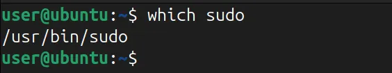 使用 which 指令檢查 sudo 的路徑。