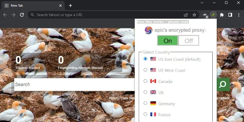 Navigateurs intégrés à Vpn Epic Privacy Browser (1)