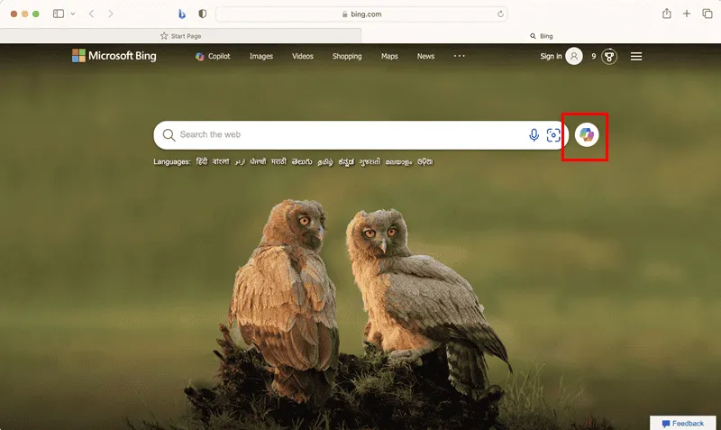 icona copilota nell'app web bing