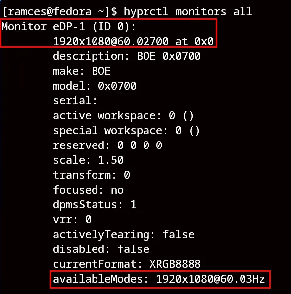 Um terminal destacando os detalhes importantes do seu monitor para Hyprland.