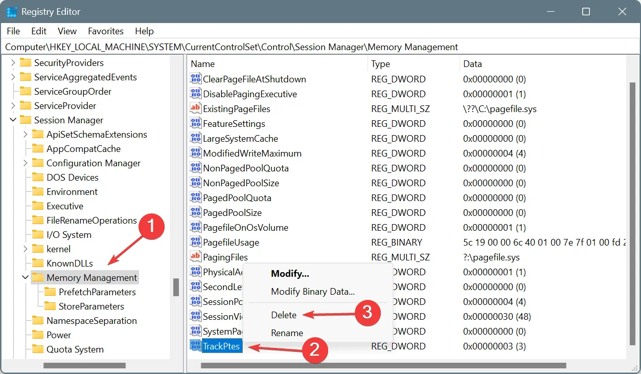 刪除 DWORD 以修復 DRIVER_CORRUPTED_SYSPTES