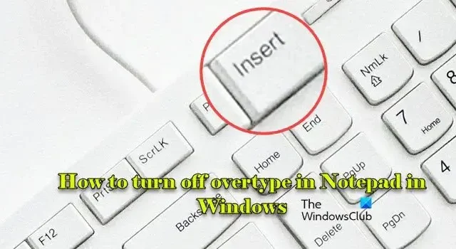 Wyłączanie trybu nadpisywania w Notatniku w systemie Windows 11