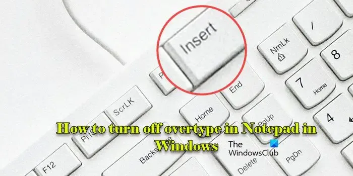 Jak wyłączyć nadpisywanie w Notatniku w systemie Windows 11