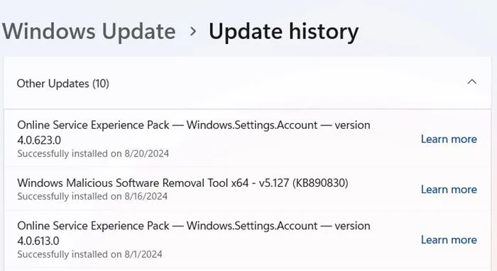 Otras actualizaciones de Windows 11 para agosto de 2024.