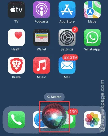 siri principal