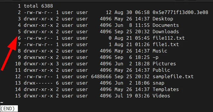 Comando di numerazione dell'output nell'utilità dell'interfaccia less.