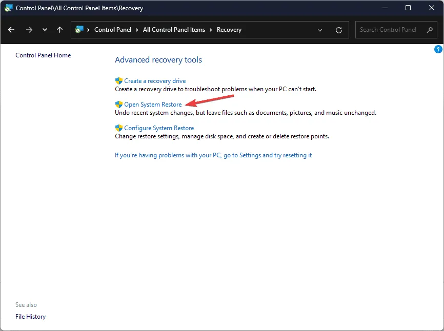 Open systeemherstel - ERROR_DRIVER_PROCESS_TERMINATED