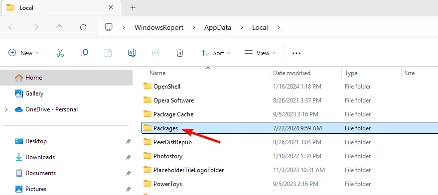 packages folder app data