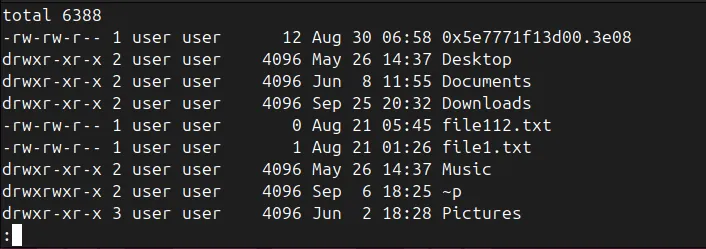 Reading ls command output in terminal window.