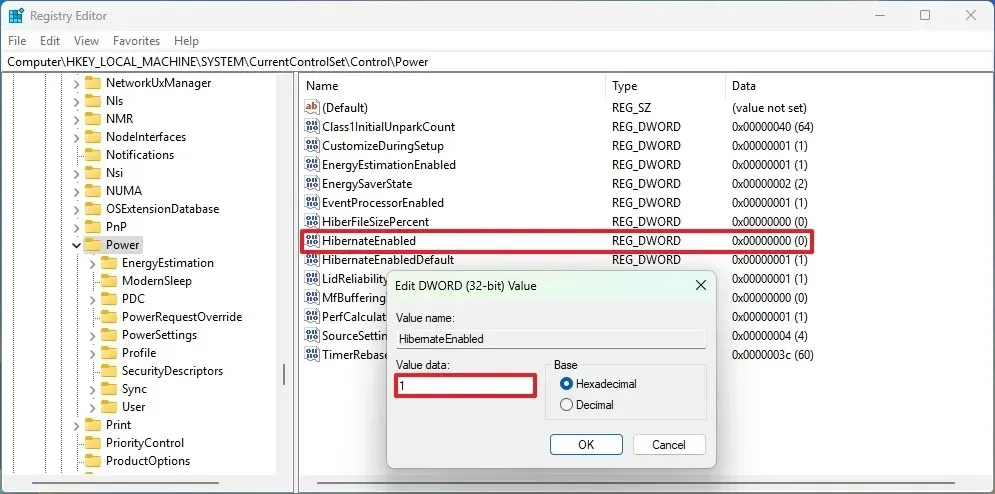 Registry enable Hibernate