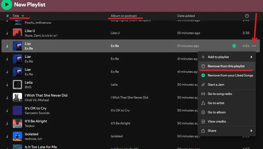 刪除 Spotify 重複項 PC 刪除