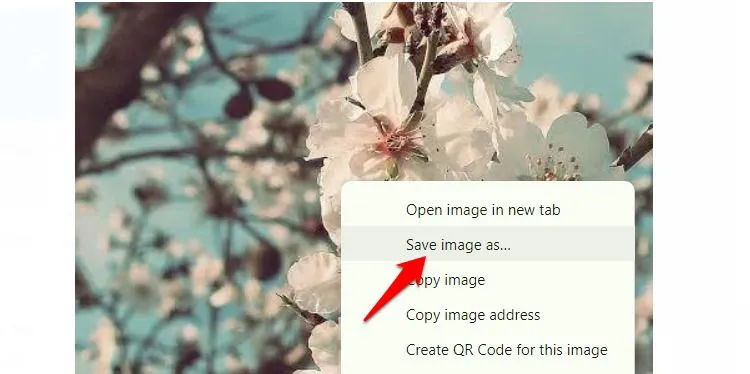 menu del browser per salvare l'immagine con la foto del profilo sullo sfondo