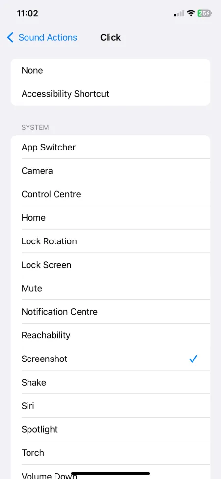 Sound Actions Setup