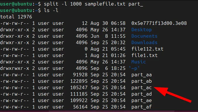 Suddivisione dei file in parti più piccole mediante il comando split.