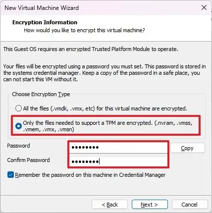 適用於 Windows 11 虛擬機器的 VMware TPM 設定