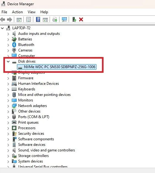 Using Device Manager to find hard drive details.