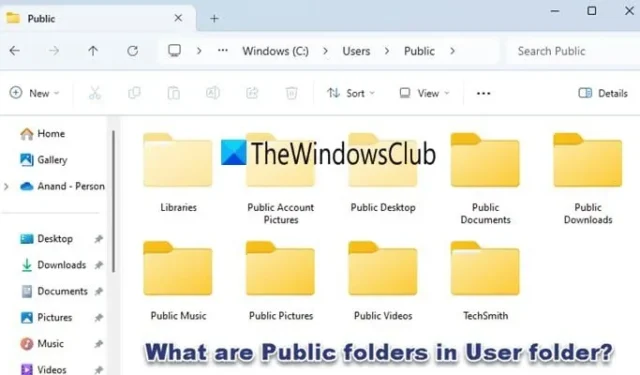 Comprendre les dossiers publics dans l’annuaire utilisateur sous Windows 11