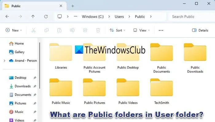 ¿Qué son las carpetas públicas en la carpeta de usuario en Windows 11?