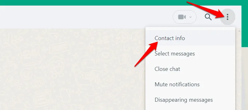 Interface de desktop do WhatsApp com menu de bate-papo aberto