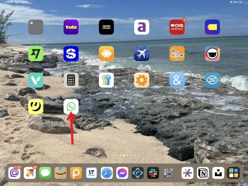 Ícono de la página de WhatsApp colocado en la pantalla de inicio del iPad.