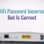 La contraseña de WiFi es incorrecta pero es correcta en Windows 11
