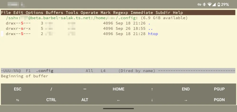 Uma captura de tela mostrando meu cliente Android Emacs conectado a uma máquina na minha rede Tailscale.