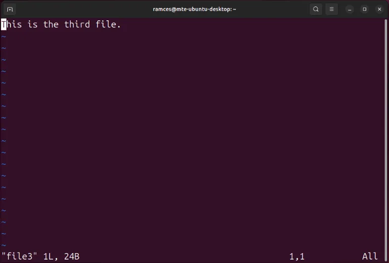 Un terminale che mostra il contenuto dell'ultimo file nel buffer Vim multi-file.