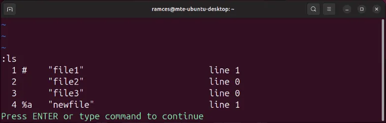 顯示 Vim 內目前活動緩衝區清單的終端。