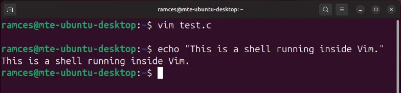 Una terminal que muestra la sesión de shell interna dentro de Vim.