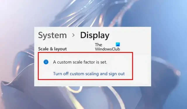 Het oplossen van de fout Aangepaste schaalfactor in Windows 11 en Windows 10