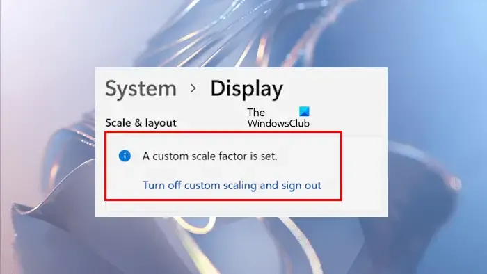 A custom scale factor is set