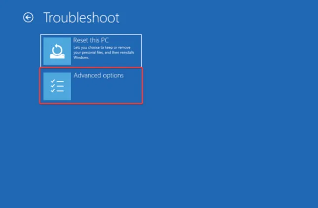 Advanced options winload.efi missing Windows 11