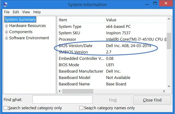 controlla la versione del BIOS in Windows