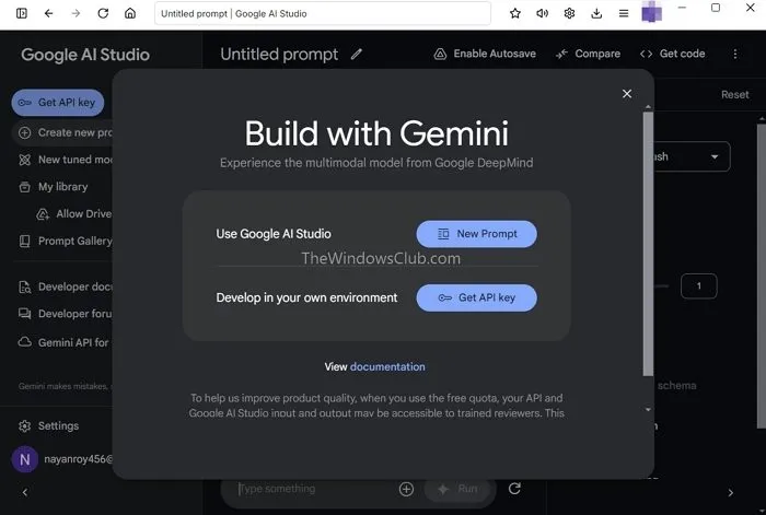 Selecione Usar Google AI Studio ou Desenvolver em seu próprio ambiente