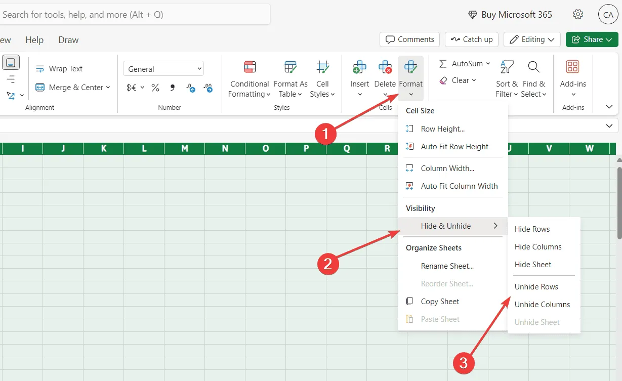 Opción para mostrar en Excel