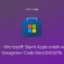 So beheben Sie den Absturz von Microsoft Store-Apps mit dem Ausnahmecode 0xc000027b