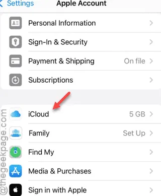 icloud 分 e1730125048925