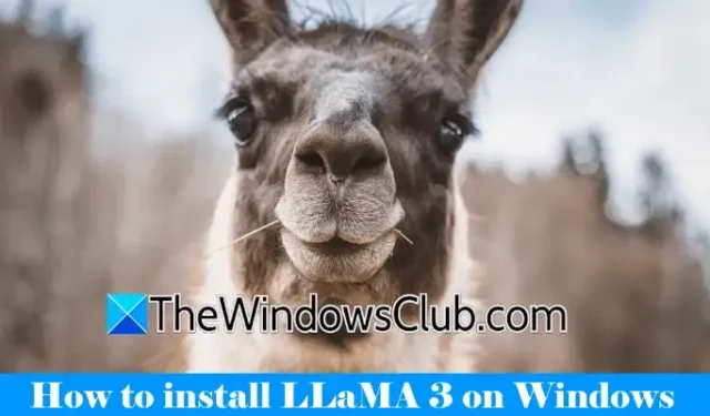 Schritt-für-Schritt-Anleitung zur Installation von LLaMA 3 auf einem Windows 11-PC