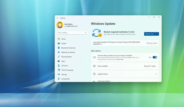 Nieuwe updates voor Windows 11 KB5044377 en KB5044376 uitgebracht in bèta- en Dev-kanalen