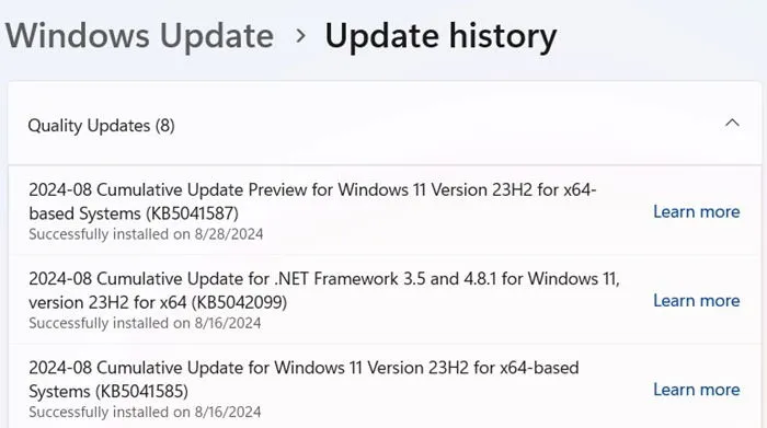 Windows 11 update history for August 2024.