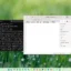 Anleitung zur Installation von Linux-GUI-Anwendungen unter Windows 11 und 10