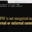 Fix “NPM Not Recognized as an Internal or External Command” Error