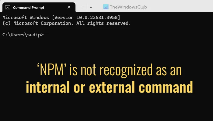 ‘NPM’ is not recognized as an internal or external command