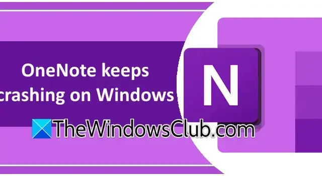 Beheben Sie Absturzprobleme von OneNote unter Windows 11