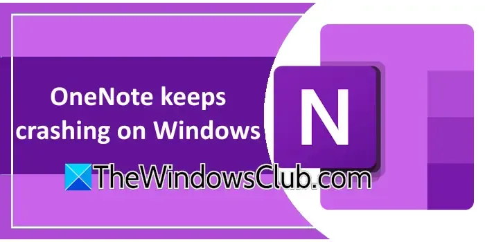 OneNote Crashing Issue on Windows